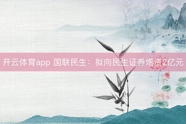 开云体育app 国联民生:拟向民生证券增资2亿元