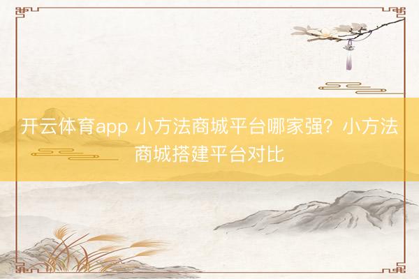 开云体育app 小方法商城平台哪家强？小方法商城搭建平台对比