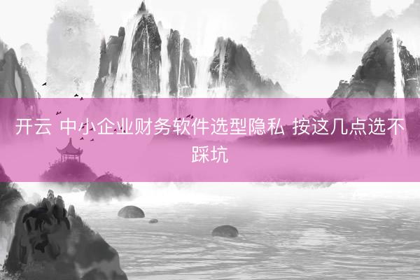 开云 中小企业财务软件选型隐私 按这几点选不踩坑