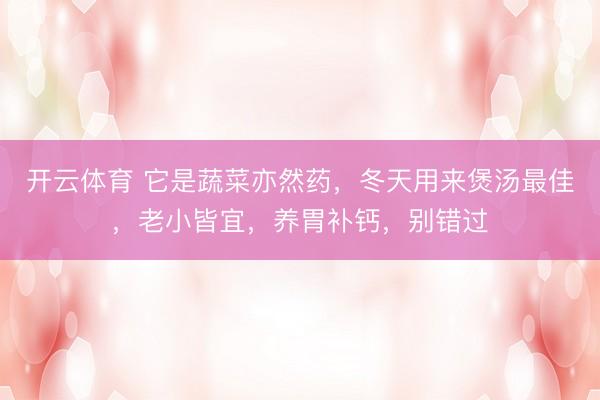 开云体育 它是蔬菜亦然药，冬天用来煲汤最佳，老小皆宜，养胃补钙，别错过