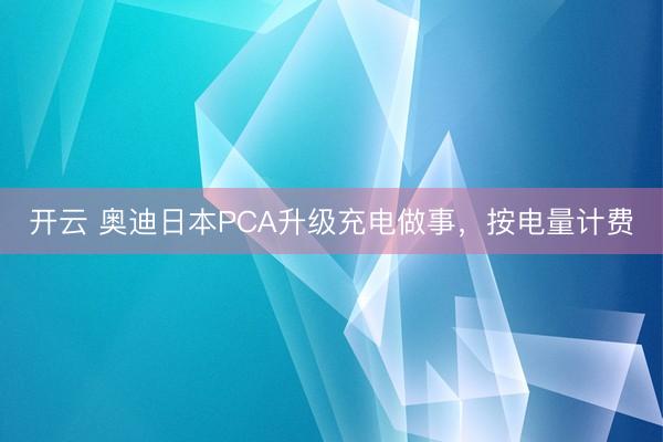 开云 奥迪日本PCA升级充电做事，按电量计费