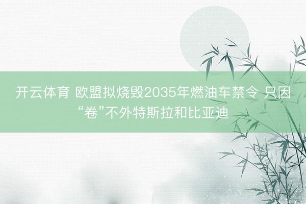 开云体育 欧盟拟烧毁2035年燃油车禁令 只因“卷”不外特斯拉和比亚迪