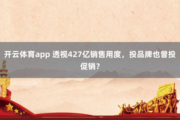 开云体育app 透视427亿销售用度，投品牌也曾投促销？