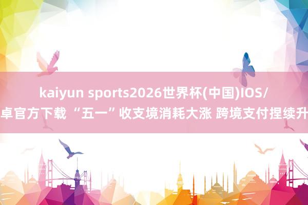 kaiyun sports2026世界杯(中国)IOS/安卓官方下载 “五一”收支境消耗大涨 跨境支付捏续升温