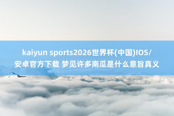 kaiyun sports2026世界杯(中国)IOS/安卓官方下载 梦见许多南瓜是什么意旨真义