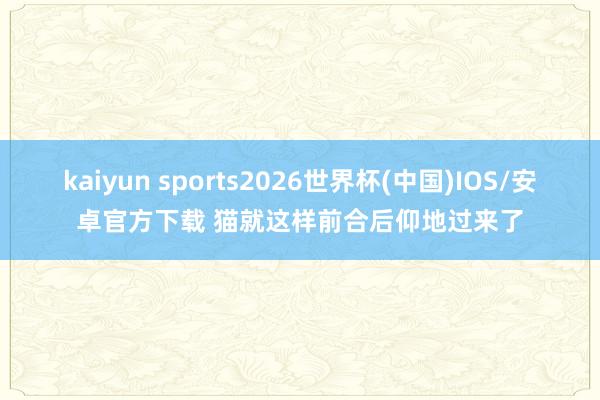 kaiyun sports2026世界杯(中国)IOS/安卓官方下载 猫就这样前合后仰地过来了