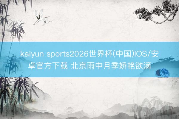 kaiyun sports2026世界杯(中国)IOS/安卓官方下载 北京雨中月季娇艳欲滴