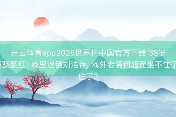 开云体育app2026世界杯中国官方下载 38岁窦骁翻红! 戏里迷倒刘浩存， 戏外老婆何超莲坐不住了?