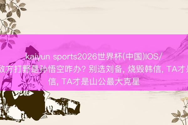 kaiyun sports2026世界杯(中国)IOS/安卓官方下载 敌方打野是孙悟空咋办? 别选刘备, 烧毁韩信, TA才是山公最大克星